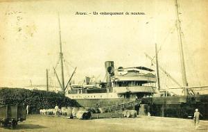 Oran- SDV- 6049